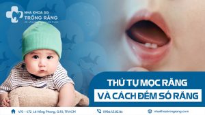 Thứ tự mọc răng và cách đếm số răng
