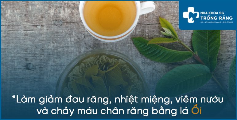 Trị đau răng bằng lá ổi