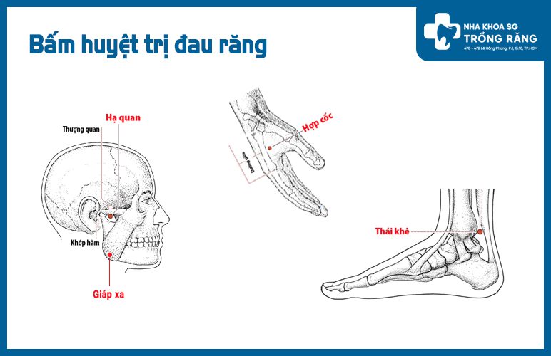 cách bấm huyệt trị đau răng
