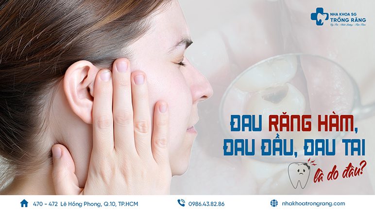 đau răng hàm gây đau tai đau đầu đau răng hàm gây đau tai đau đầu