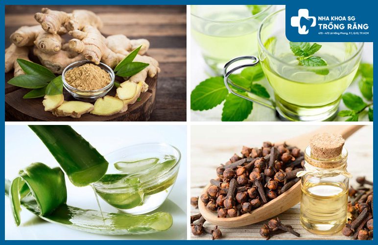 điều trị đau răng không ngủ được bằng thảo dược