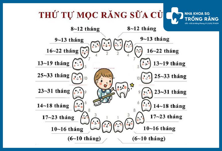 hinh anh loi tre moc rang cua 1 1