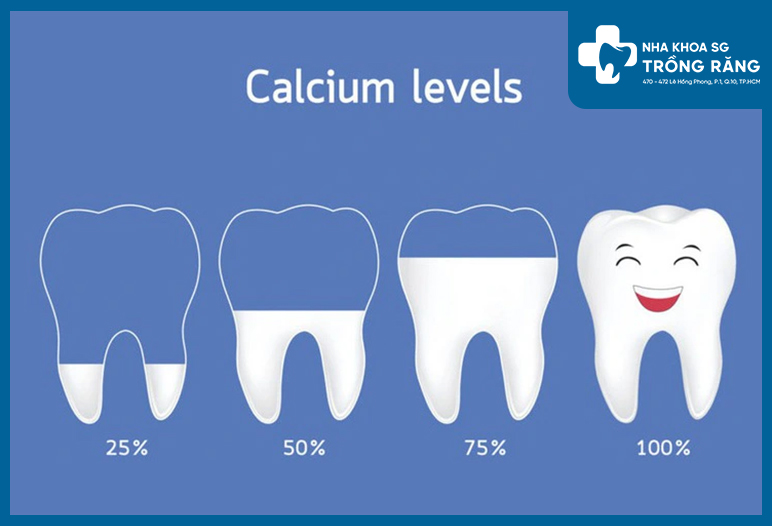 Sữa chứa canxi và phosphorus giúp tạo nên men răng và cấu trúc chắc khỏe cho răng.