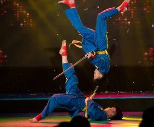 Phần trình diễn của các thí sinh trong phần thi chung kết Vovinam Dance 2025
